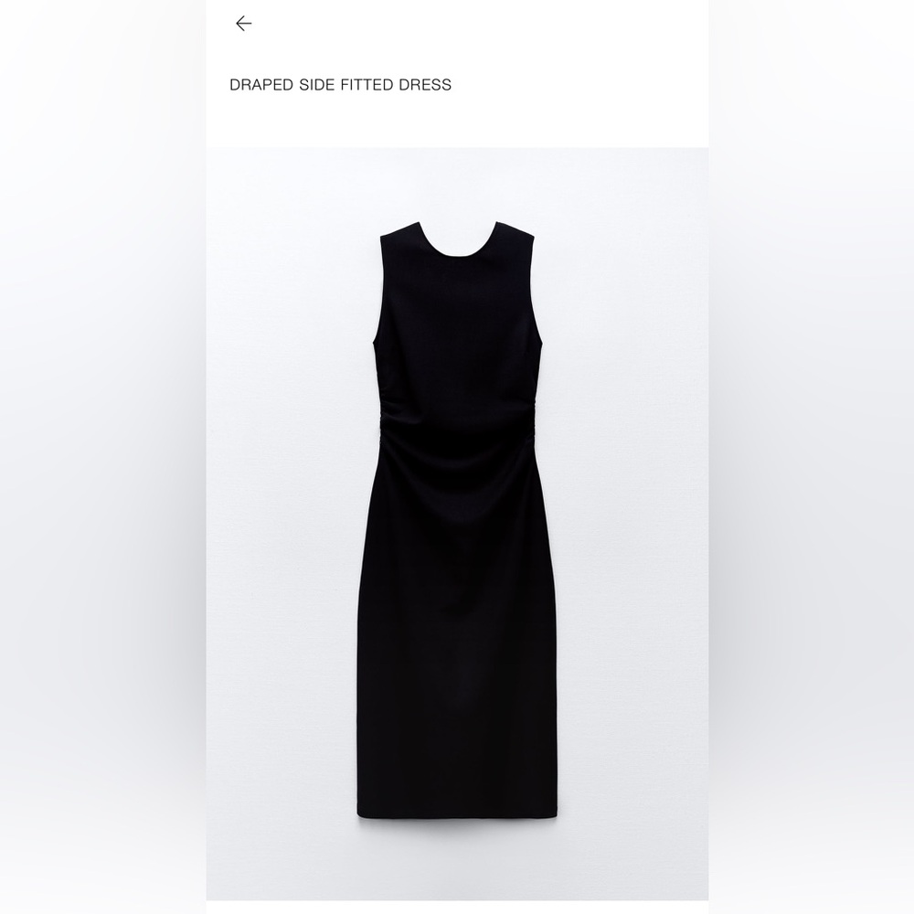 Zara Draped Side Fitted Dress